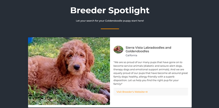 Spotlight listing photo