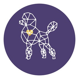 Gold Diamond Pup photo